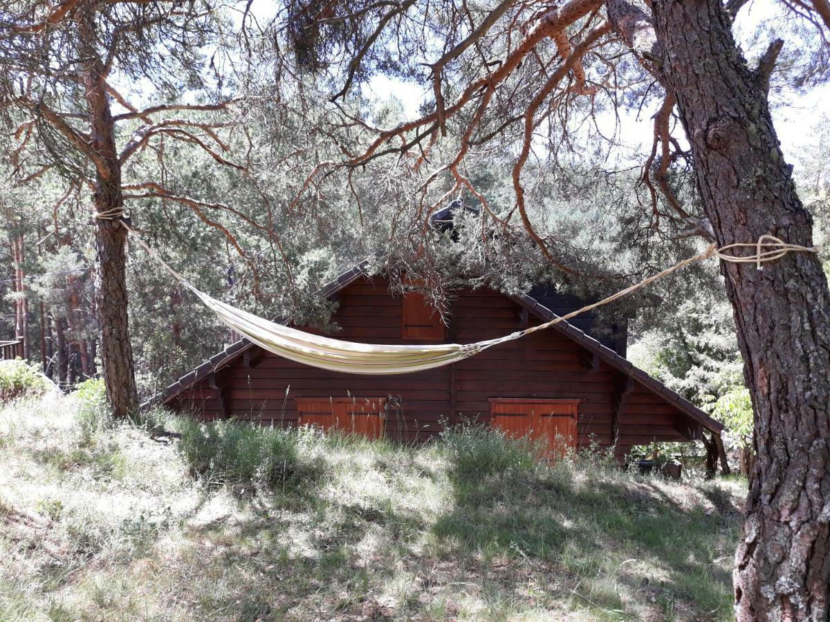 Canon Del Rio Lobos-La Cabana De Ton San Leonardo de Yagüe Eksteriør bilde